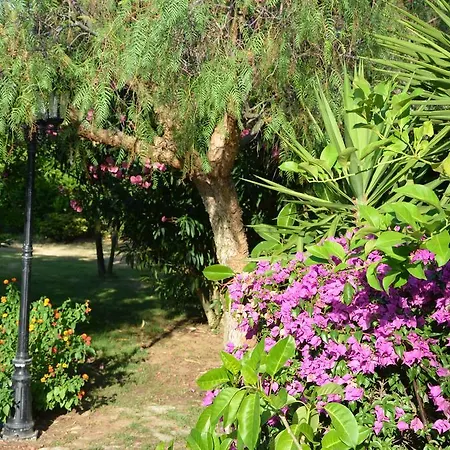 Oda ve Kahvaltı I Colori Del Poggio *