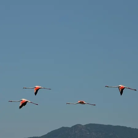 I Colori Del Poggio Oda ve Kahvaltı